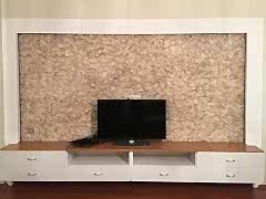 Asma Tavan ve Alçıpan